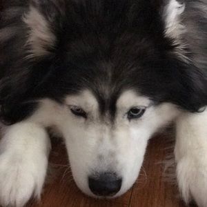 Meet your Posher, Mary winston